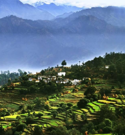 ranikhet