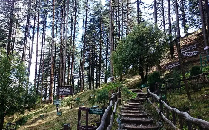 Dhanaulti- Mussoorie-chamba tour package