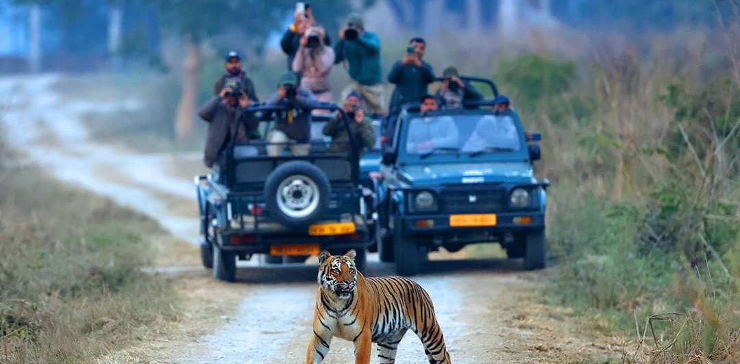 jim corbett national park tour package