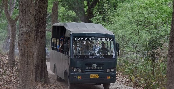 jim corbett national park tour package