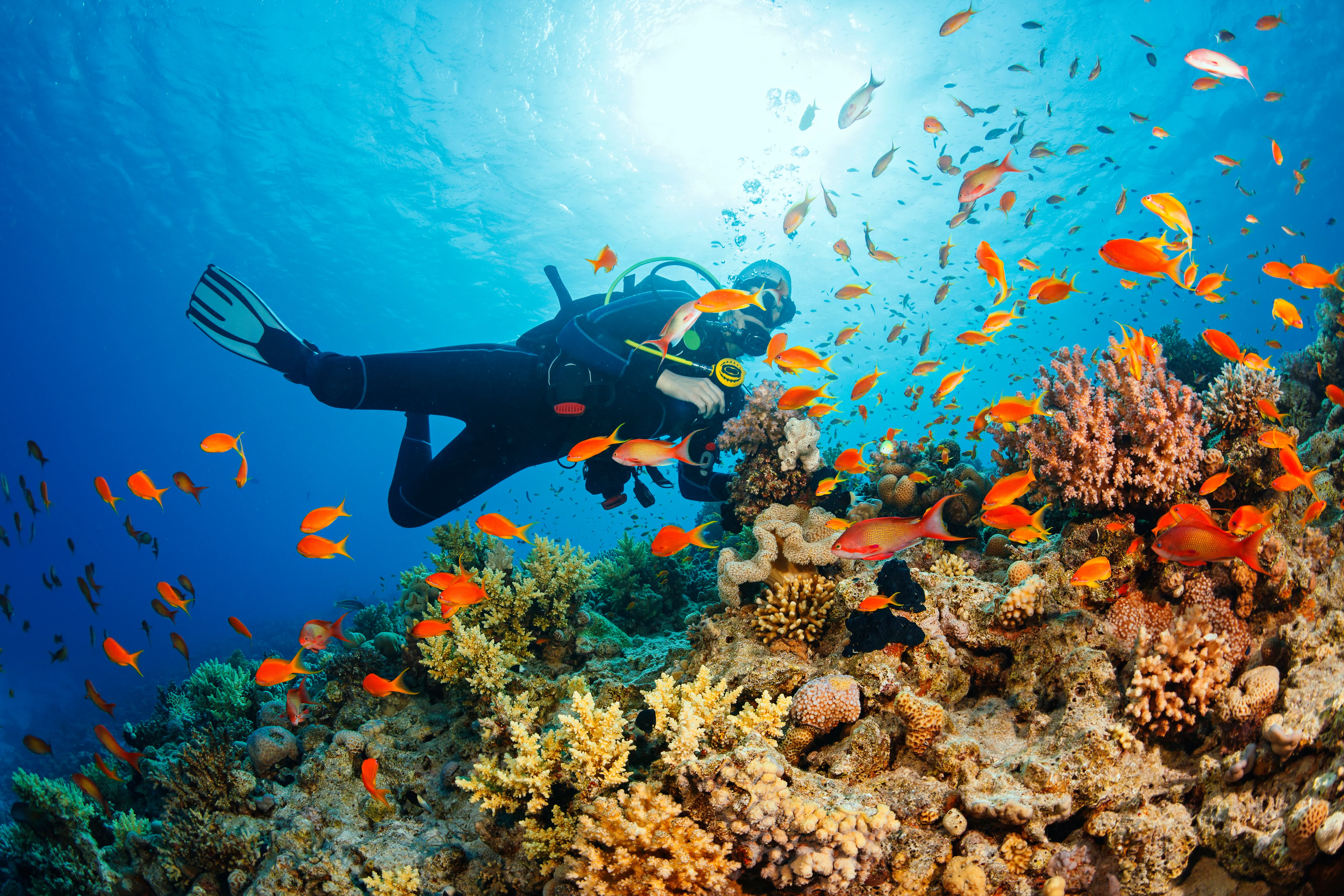 Scuba diving - Kerala travel package from Haridwar
