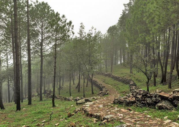 jim corbett national park in uttarakhand