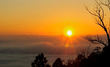 Ranikhet -Queen's land is a hill station