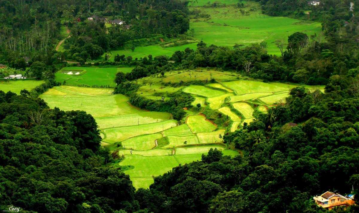 coorg-karnataka-tour-package