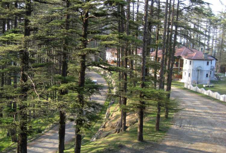 Chilmiri Neck - Chakrata weekend getaway package