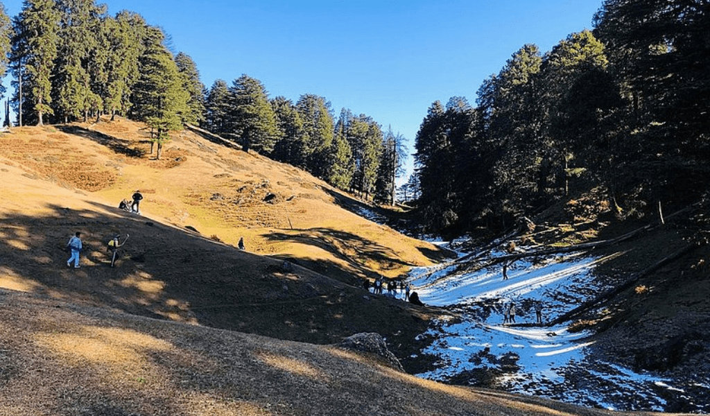 Deoban Forest - Best places to visit in Chakrata