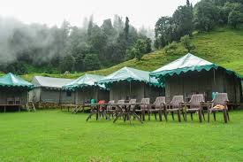 Camping in Chopta under starry skies - tour experience