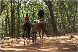 Horse Riding in Dhanaulti holiday package