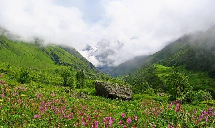 Kausani Tea Estate - Himalayan peaks from Kausani view
