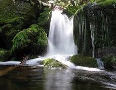 Waterfall sightseeing in Mussoorie honeymoon package