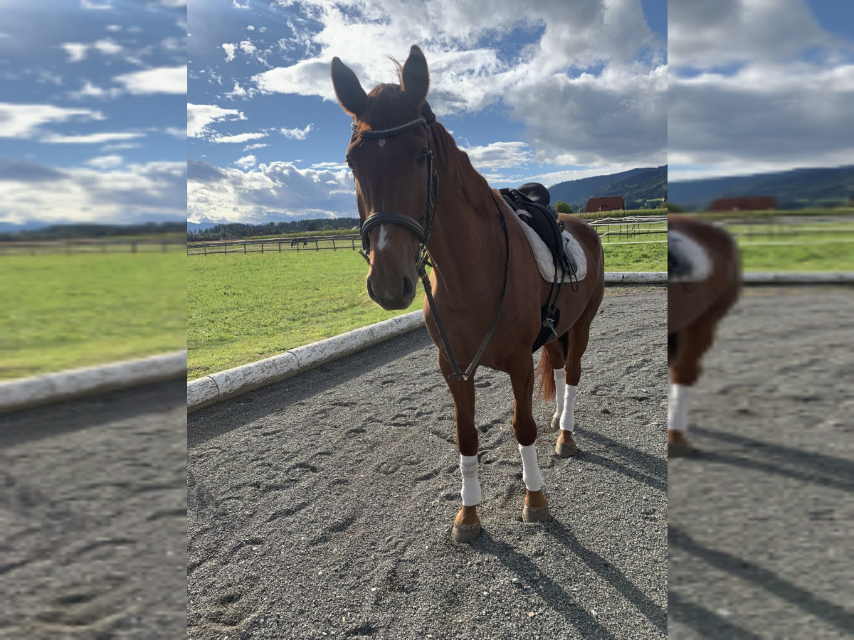 horse riding