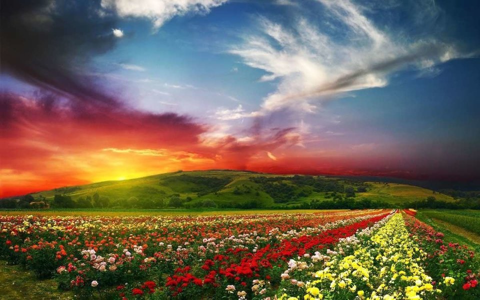 Best view of Valley of Flowers