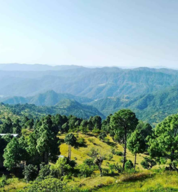 best travel company in haridwar